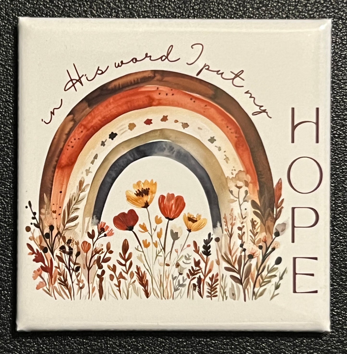 In His word I put my Hope (rainbow)